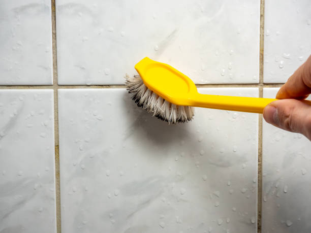 Best Kitchen Mold Remediation in Morton, MS